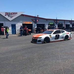 Meet your Posher, Barbara